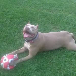 Meet your Posher, Maureen